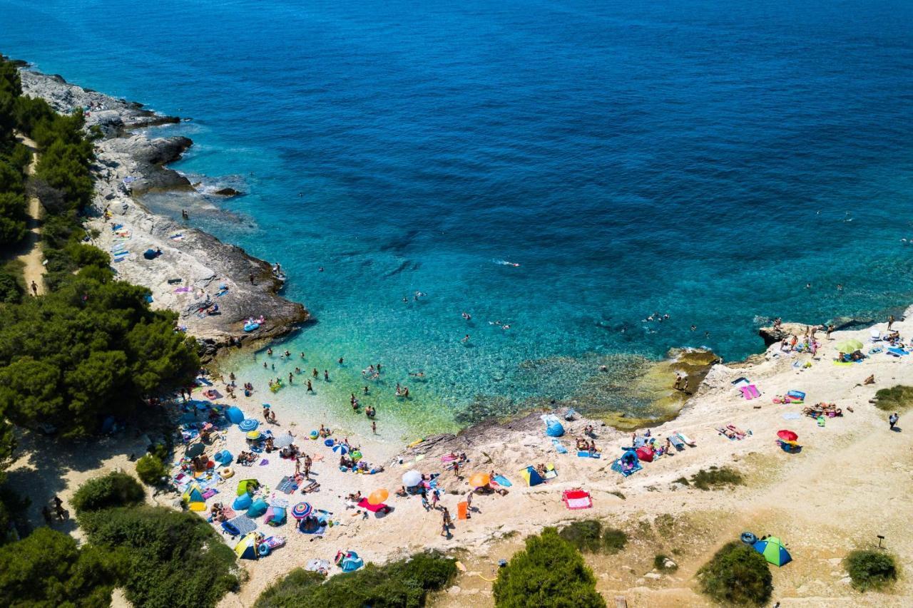 Lovely Istrian Apartment With A Private Swimming Pool And A Charming Garden 반졸레 외부 사진